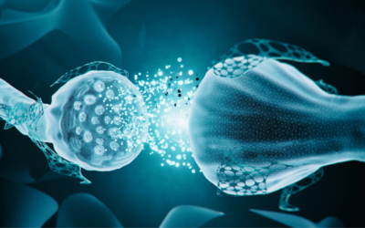 Neuroplasticity and How to Rewire Your Subconscious Mind